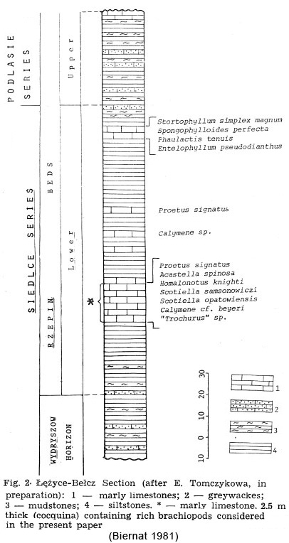 p-Belcz_biernat-1981-prof.jpg
