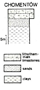 chomentow-profil-szczechura.jpg