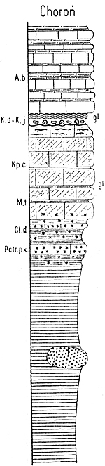 prof-Choron-m.jpg
