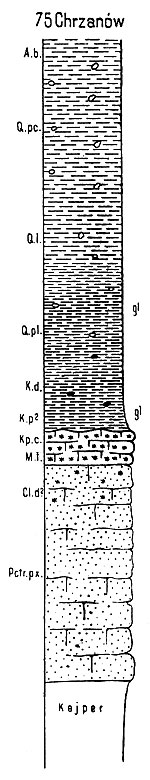 Chrzanow-prof_geol.jpg