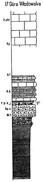 G_Wlodowska-prof.jpg