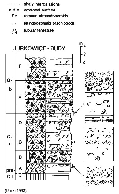 jurkowice-prof.jpg