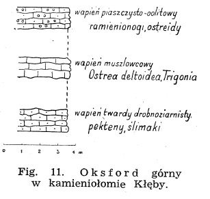 kleby-wycieczka-prof.jpg