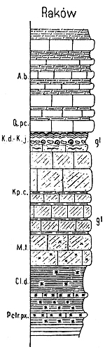 prof-Rakow-m.jpg