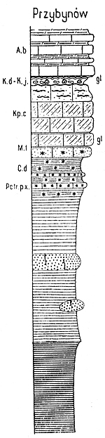 prof-Przybynow-m.jpg