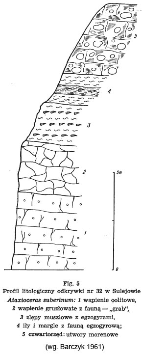 Sulejow-prof-barczyk.jpg