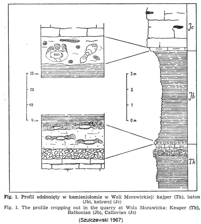 wola-morawicka-szulczewski-.jpg