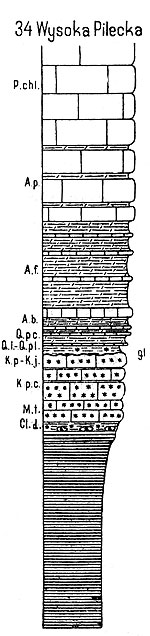 Wysoka_Pilecka-prof.jpg