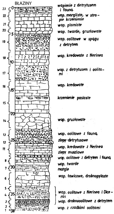 blaziny-z-teczki-d-M.jpg