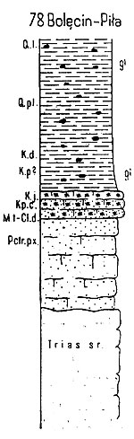 Bolecin-Pila-prof.jpg
