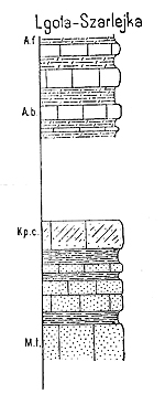 prof-Lgota-Szarlejka-m.jpg