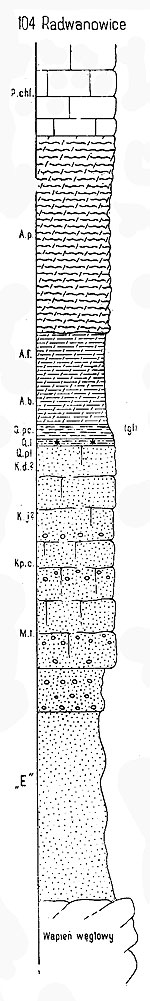 Radwanowice-prof_geol.jpg